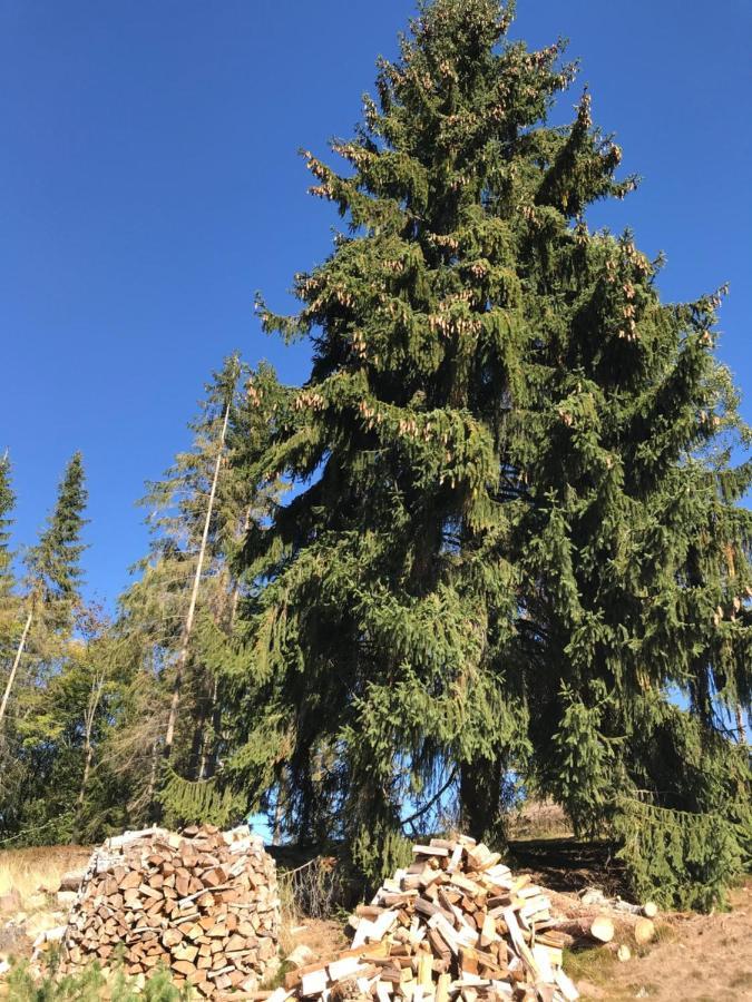 Roubenky Bublava Villa Buitenkant foto